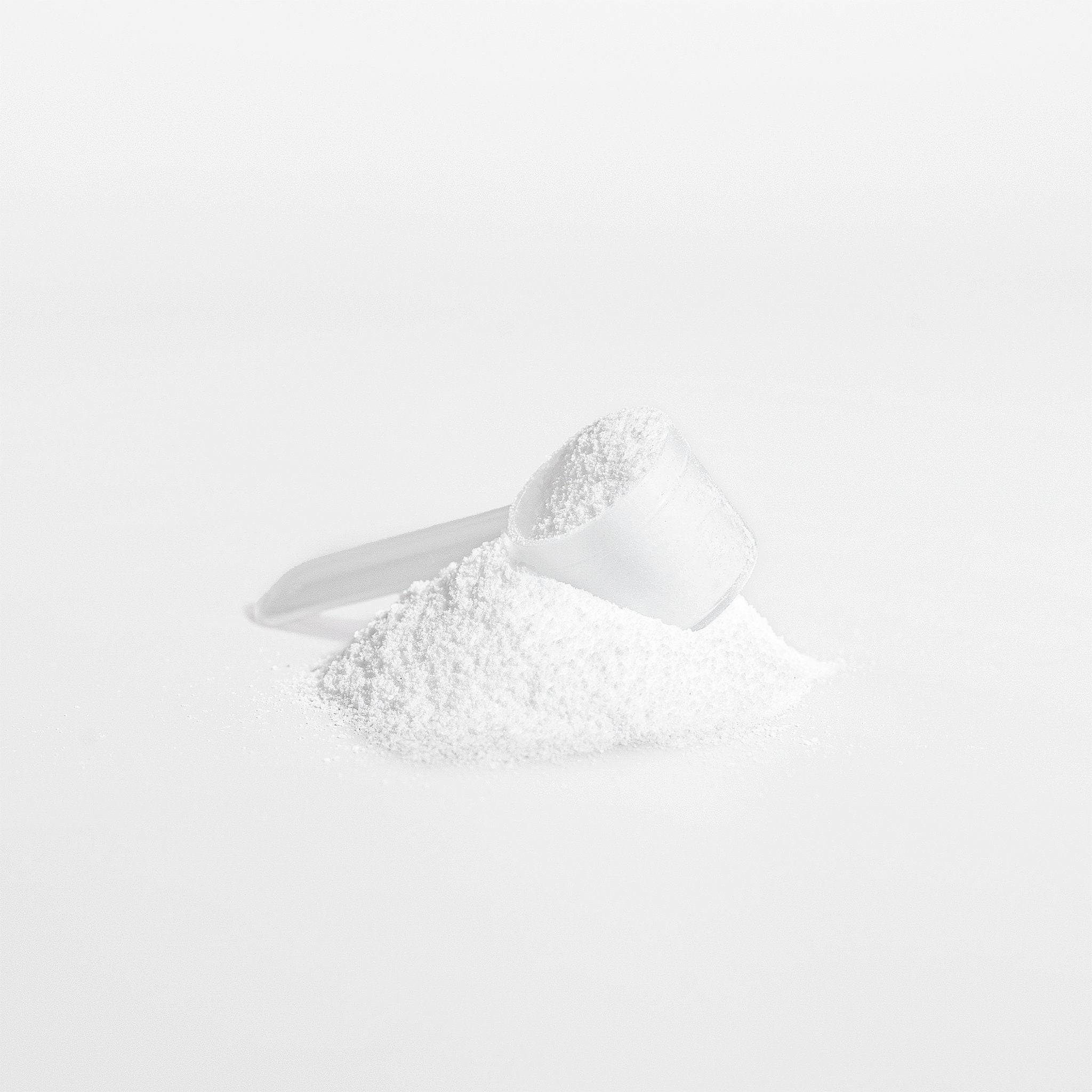 BSF Creatine Monohydrate