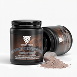 BSF Performance Whey Protein Blend (Chocolate Chunk)